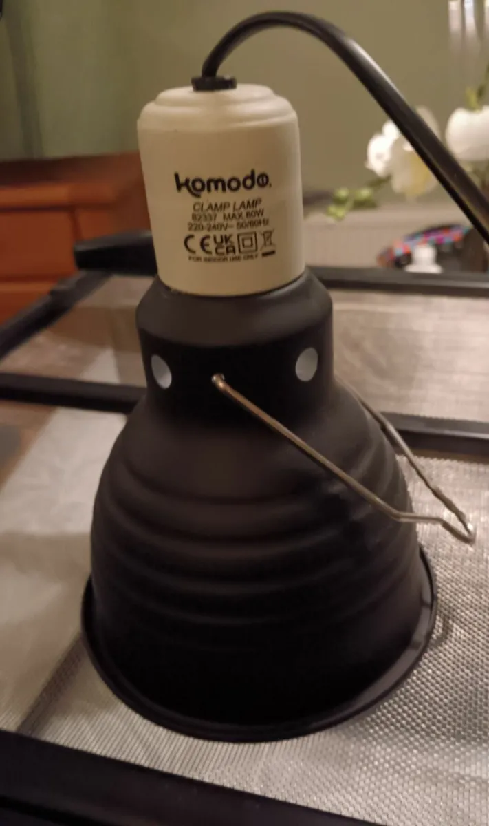 Leopard Gecko Terrarium - Image 4