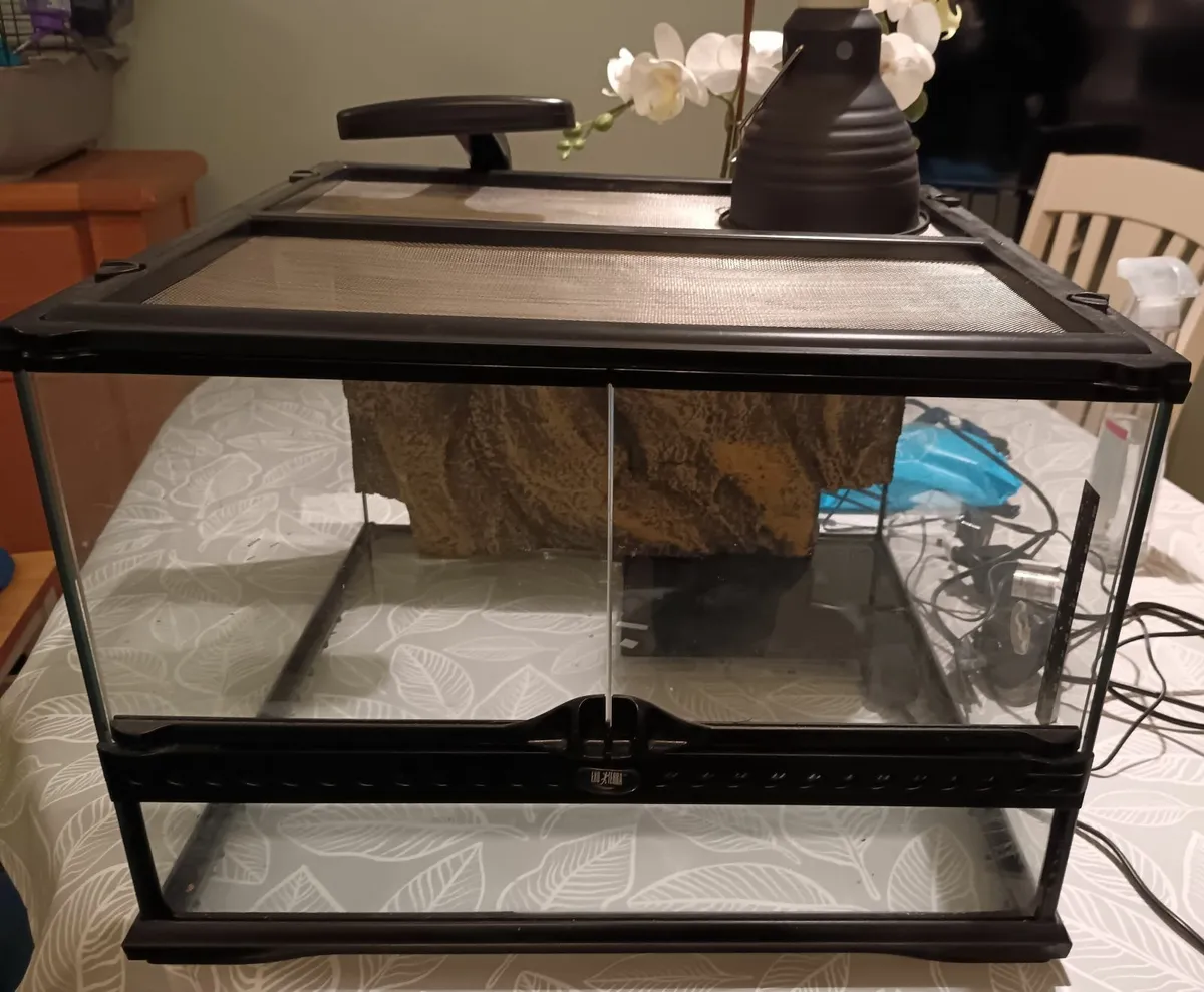 Leopard Gecko Terrarium - Image 1