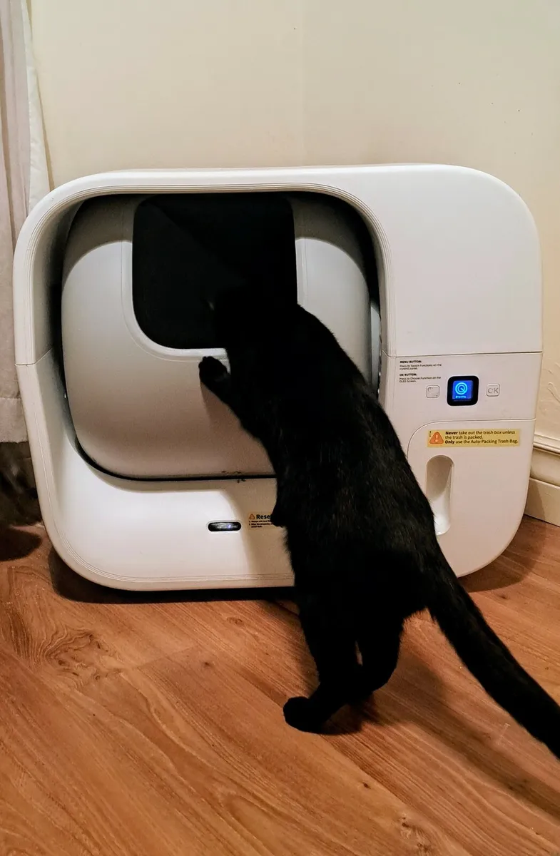 Electric litter box - Image 1