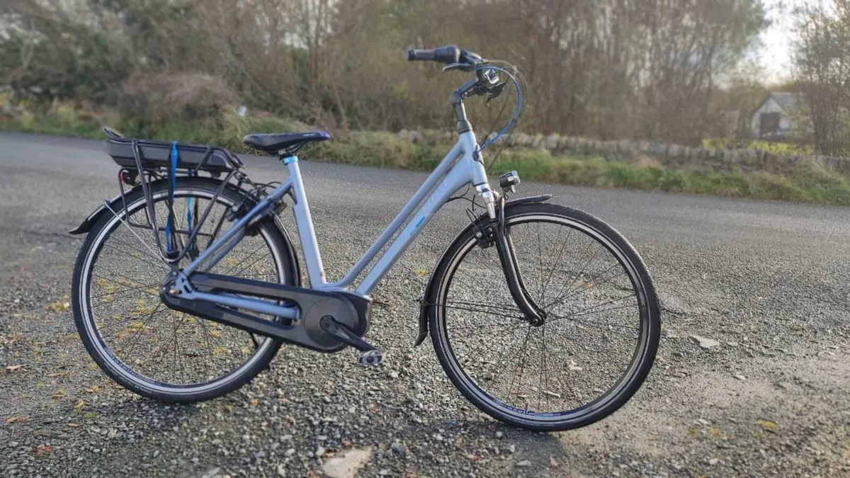 E-bike Bosch Bosch 90 km on a single charge - Image 1
