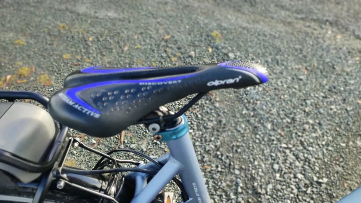 E-bike Bosch Bosch 90 km on a single charge - Image 2