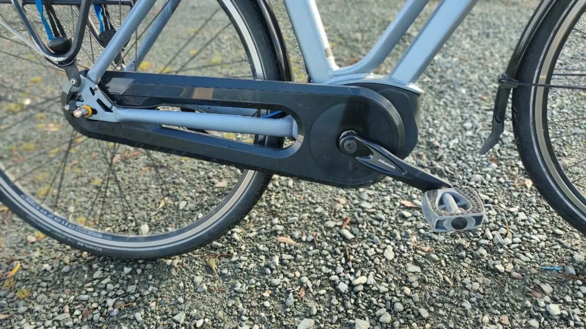 E-bike Bosch Bosch 90 km on a single charge - Image 3