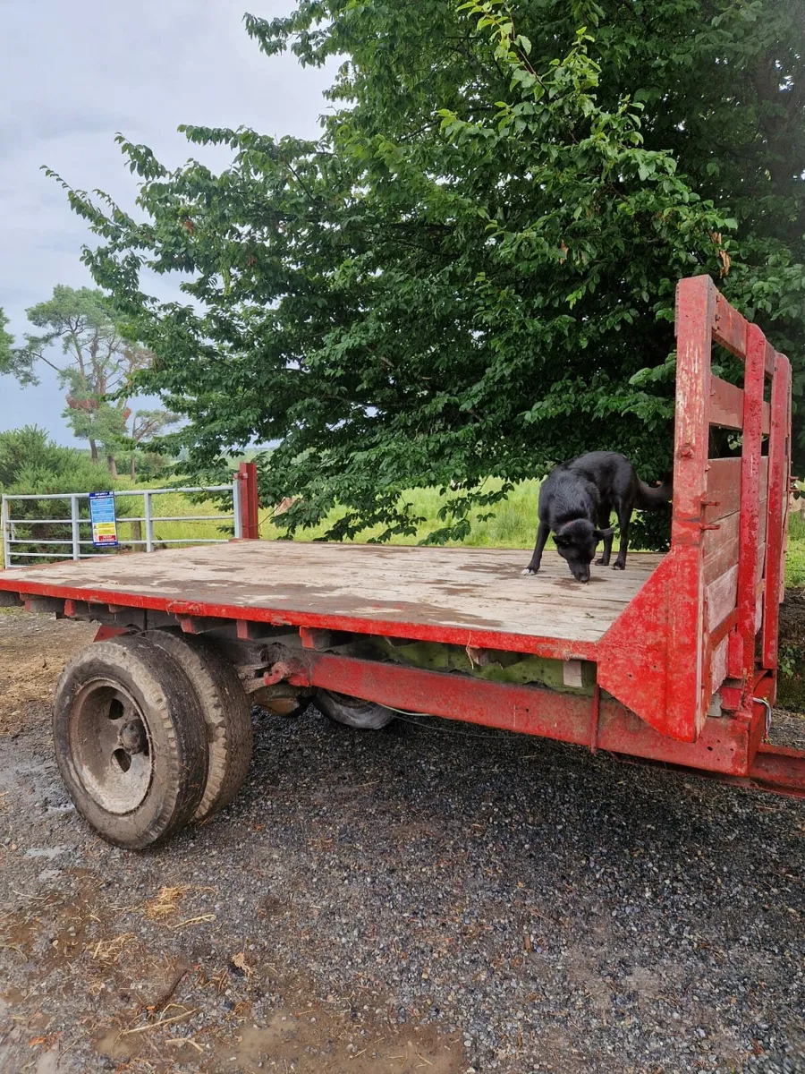 12 x 7 non tipping trailer - Image 1