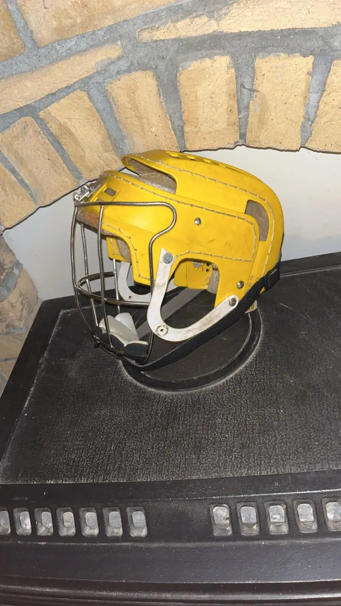 Yellow cooper - Image 4