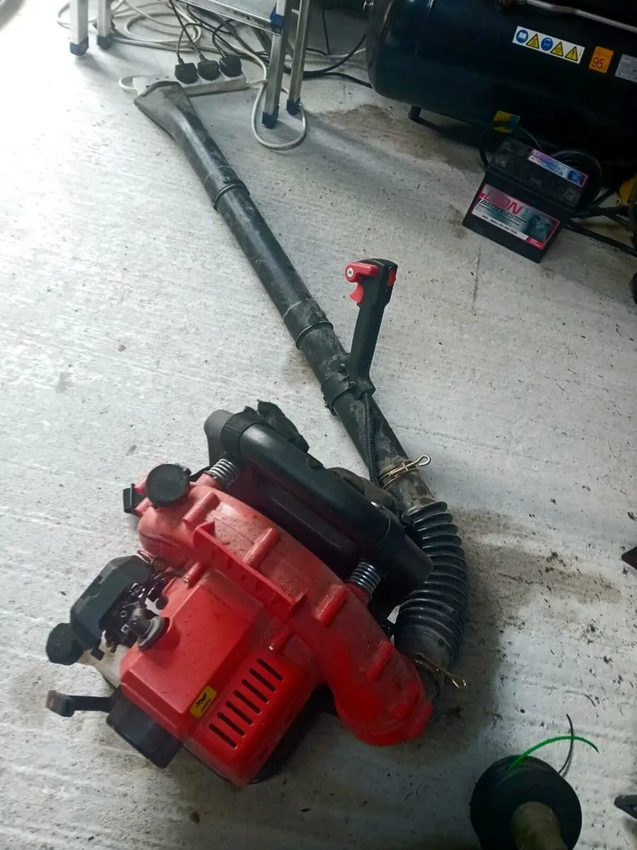 43cc Backpack leafblower - Image 2