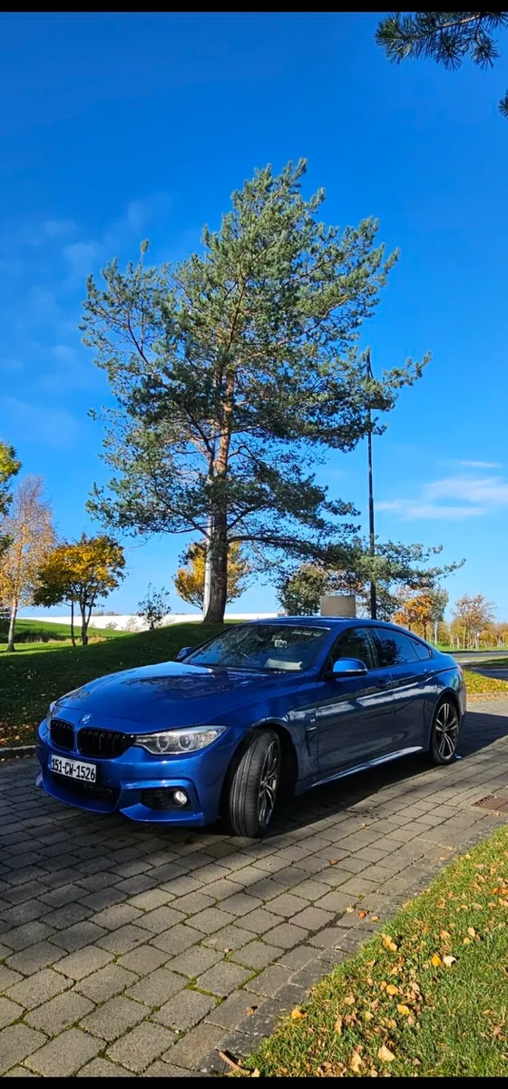 Bmw 420D Estoril Blue - Image 3