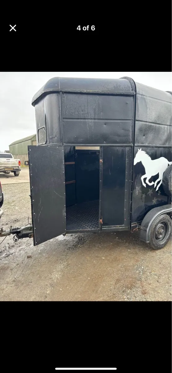 Horse box - Image 4