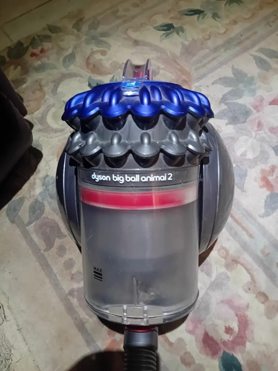Dyson big ball animal 2 - Image 1