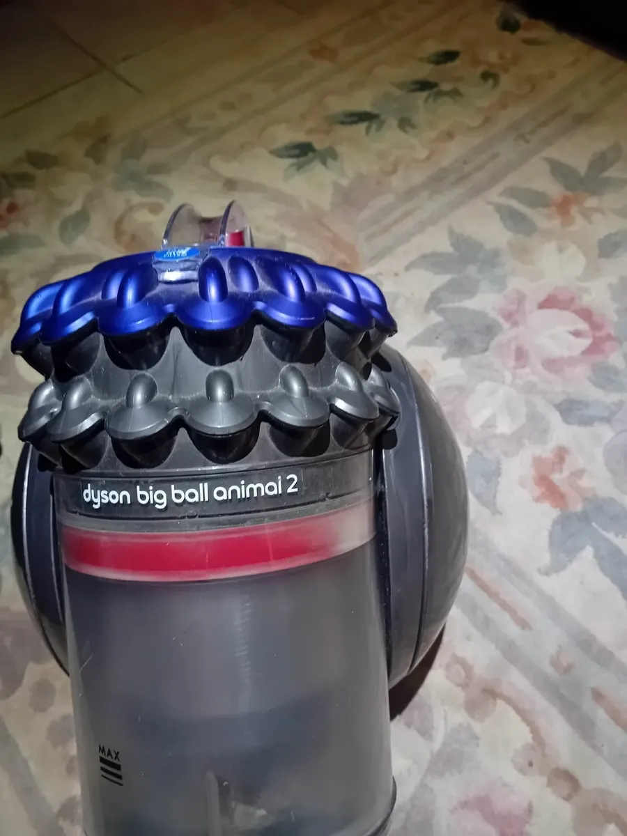 Dyson big ball animal 2 - Image 2