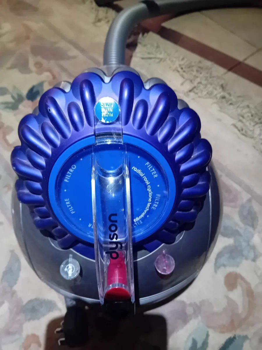 Dyson big ball animal 2 - Image 4
