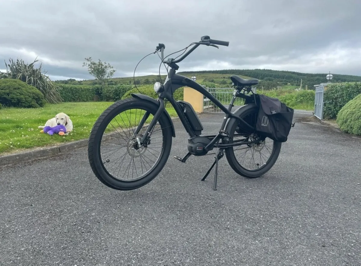 Ebike Bosch Bosch - Image 1
