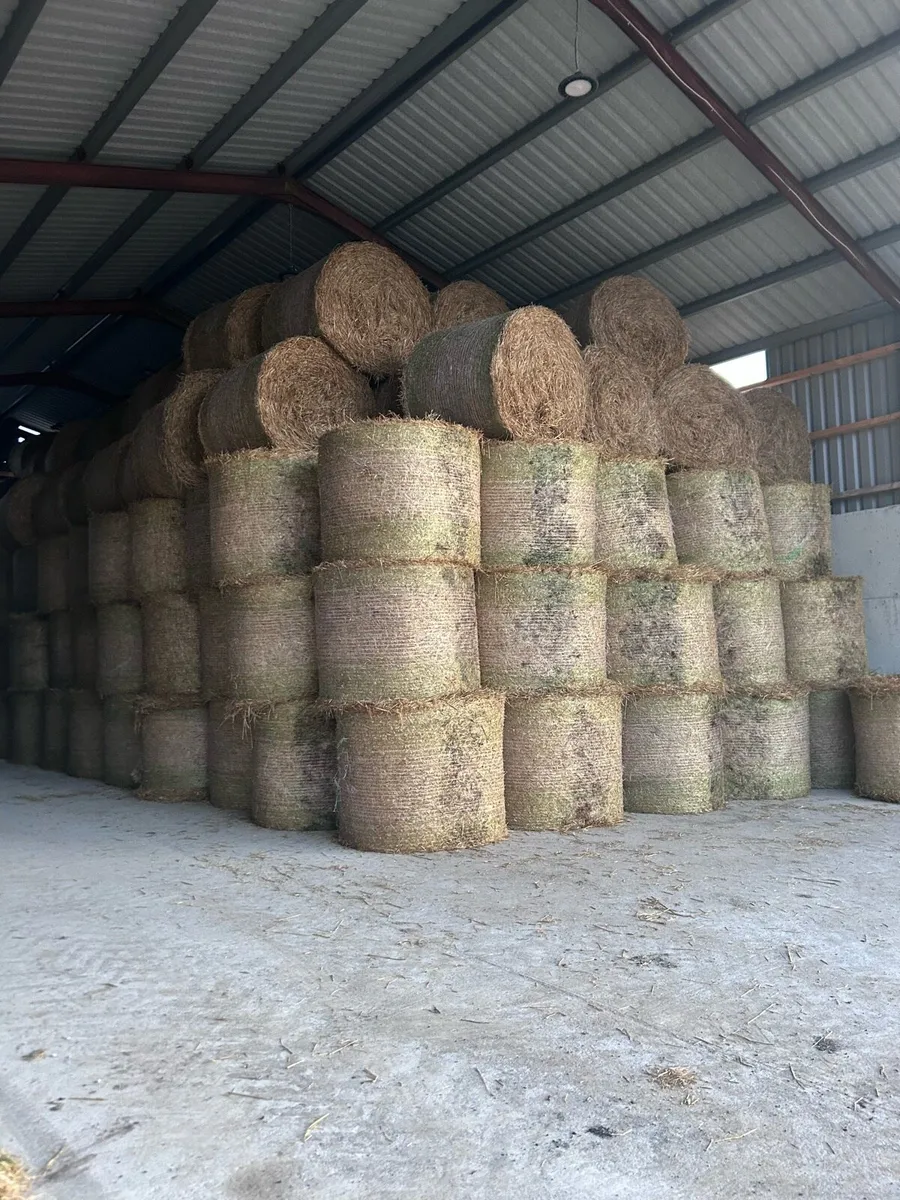 Spring barley straw - Image 1