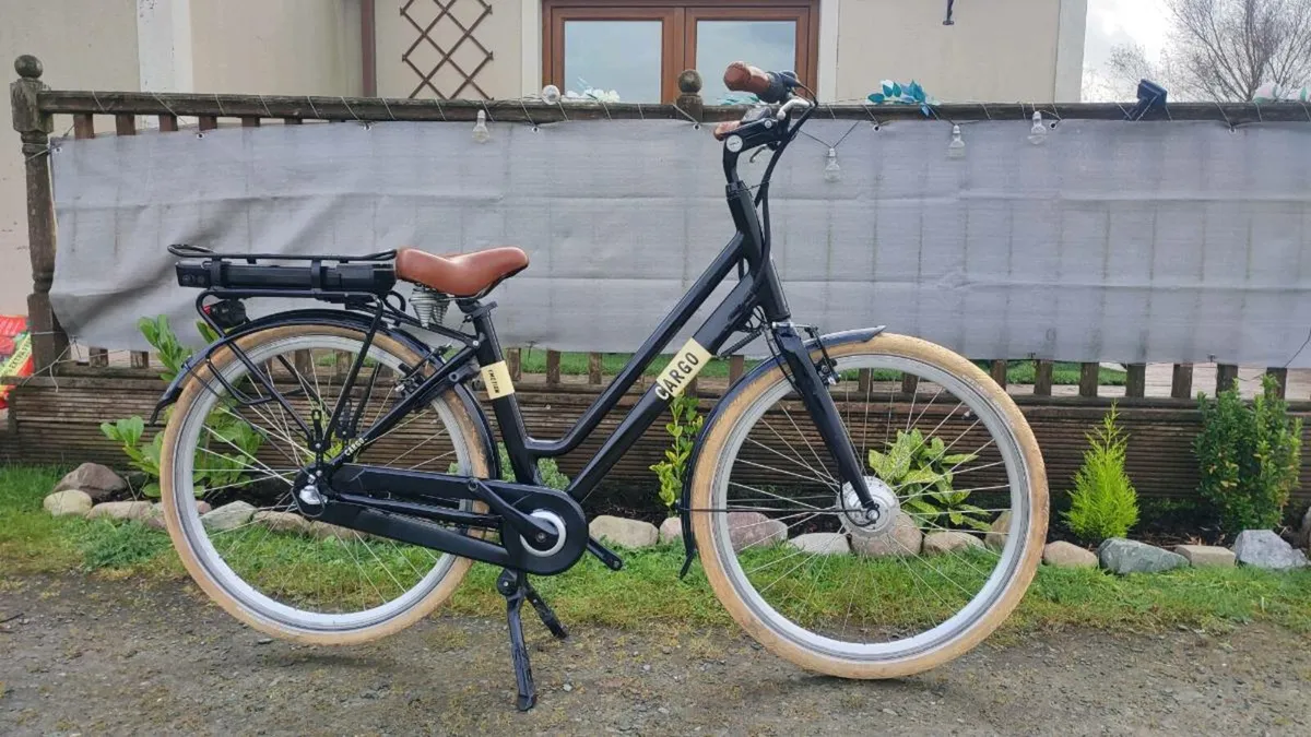 Cargo ebike Great bike for you - Image 1