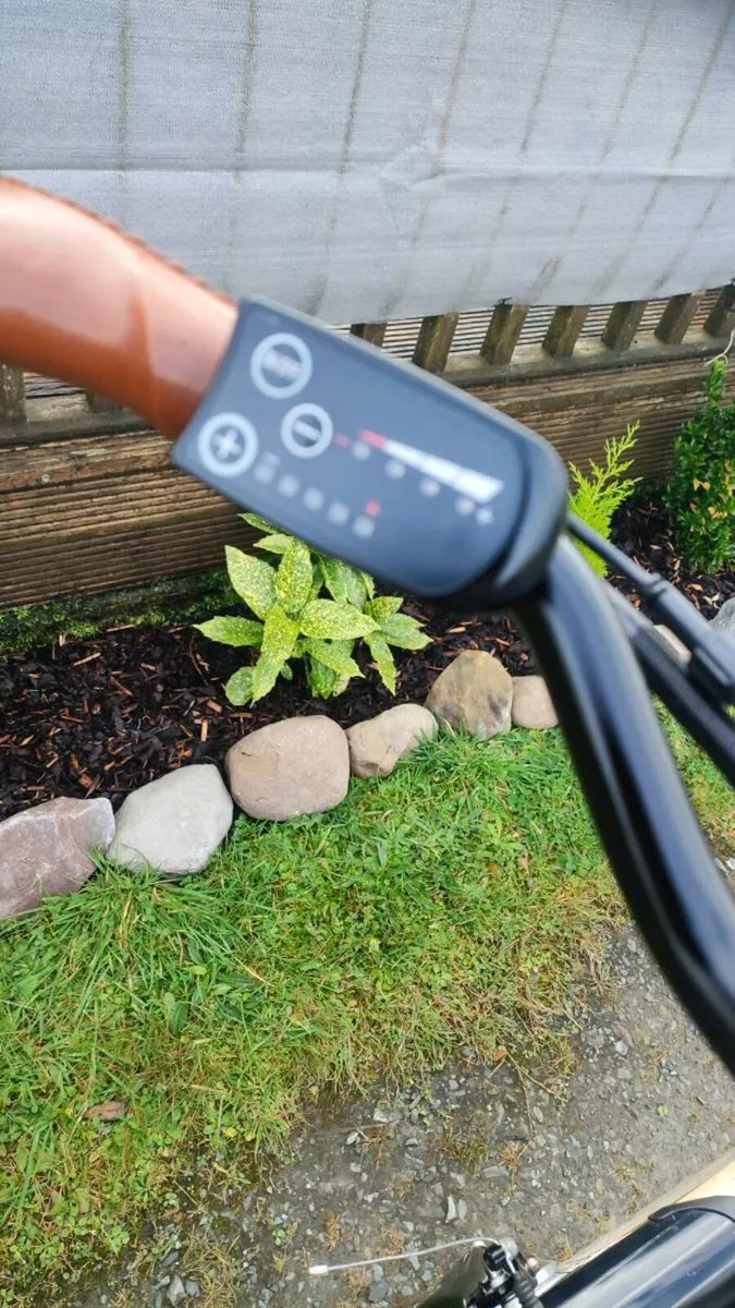 Cargo ebike Great bike for you - Image 3