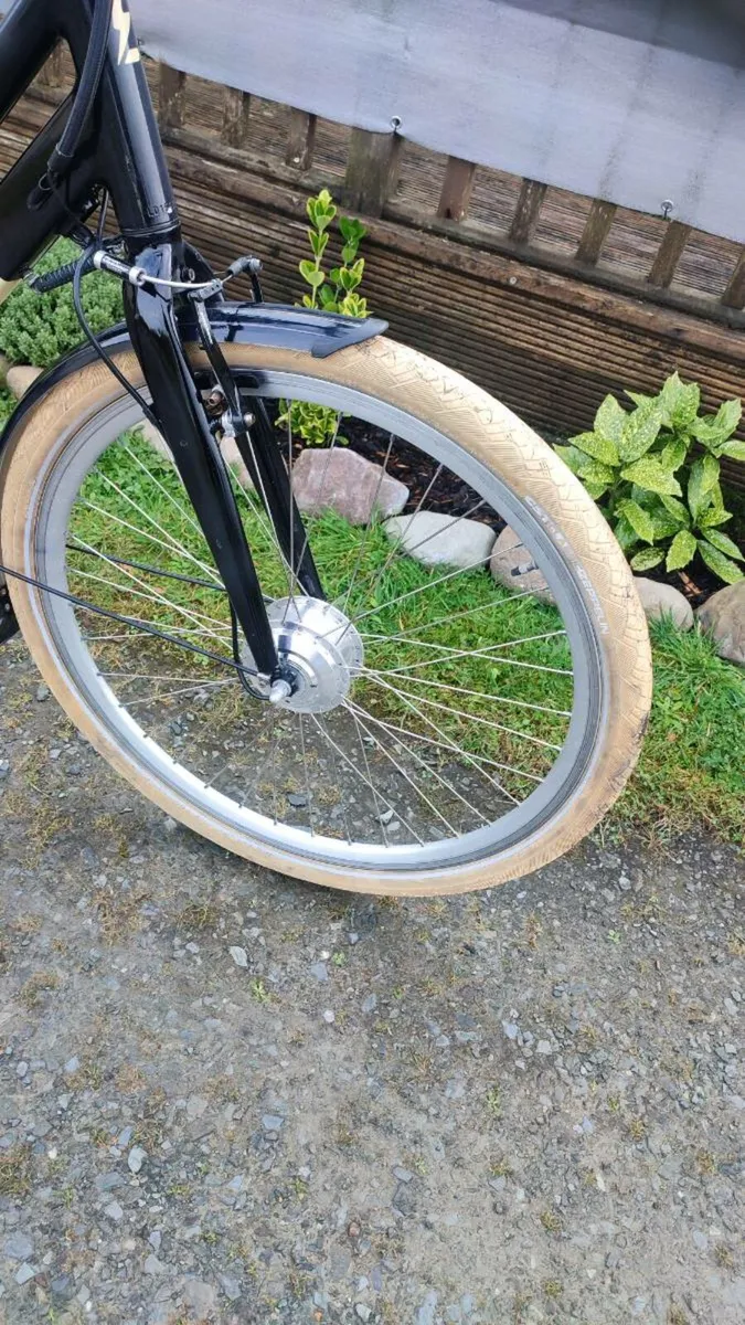 Cargo ebike Great bike for you - Image 4