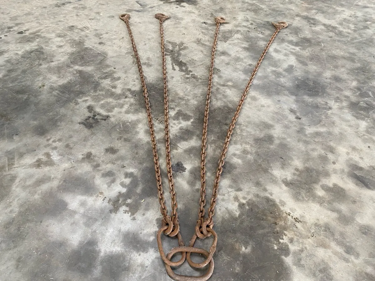 4 heavy duty lifting chains - Image 2
