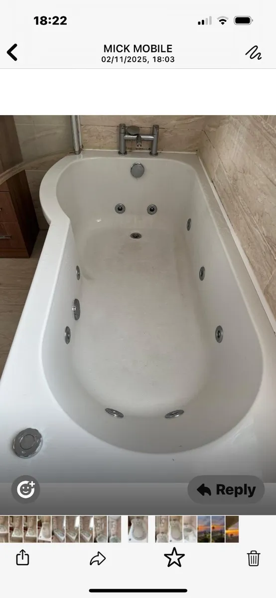 Jacuzzi bath and shower screen - Image 1