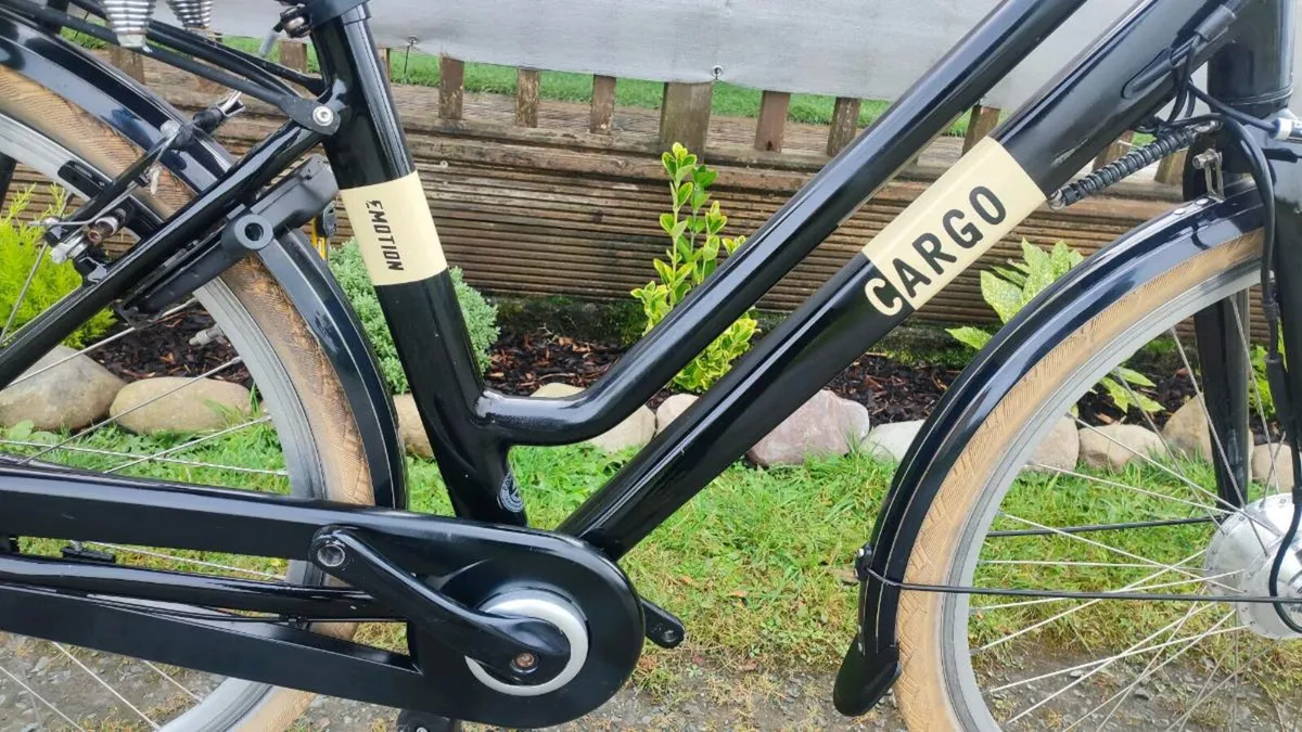 Cargo ebike - Image 1