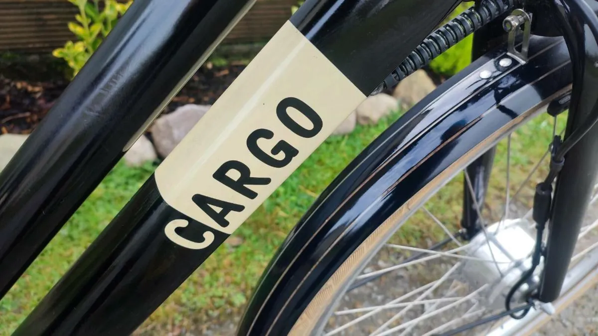 Cargo ebike - Image 2
