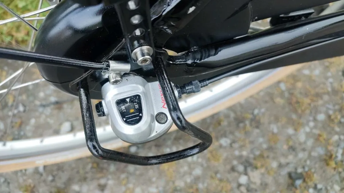 Cargo ebike - Image 3