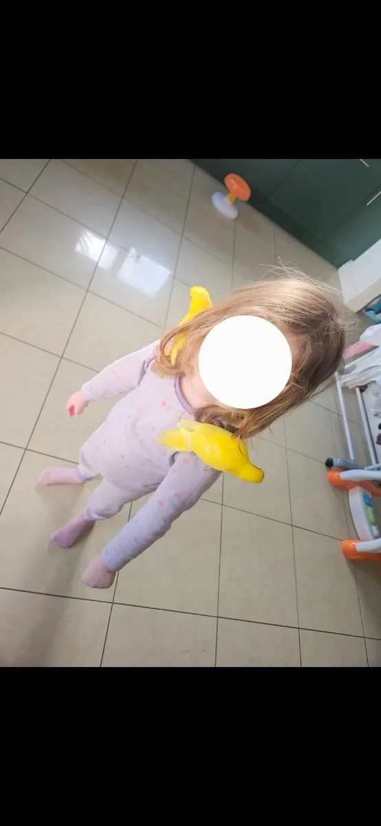 **🦜 Hand-Reared Kakariki Chicks 🦜** - Image 2