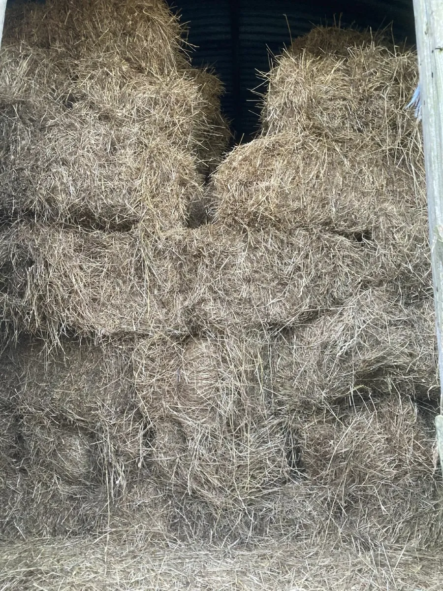 Hay for sale