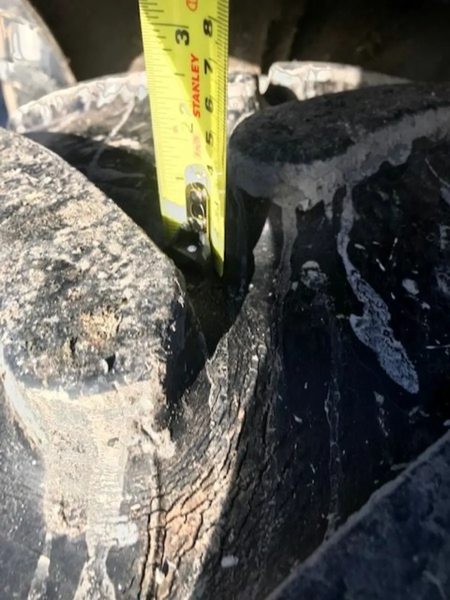 Ford Other 1982 - Image 3