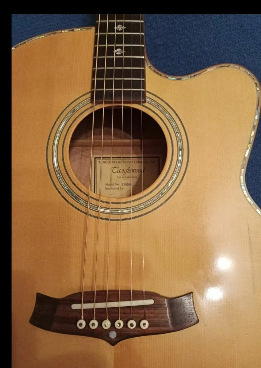 Tanglewood TW66 Sundance Pro Acoustic Guitar - Image 3