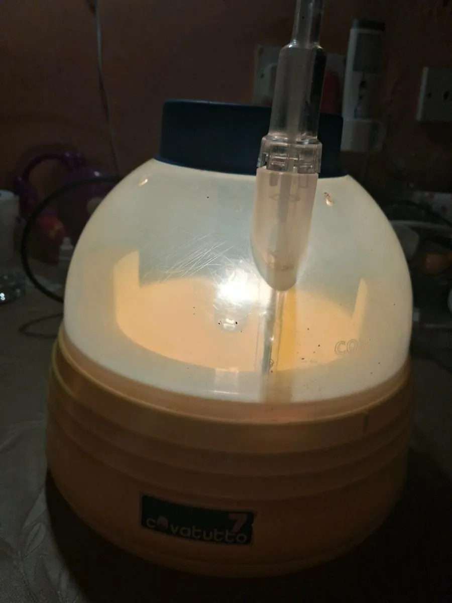 Incubators - Image 1