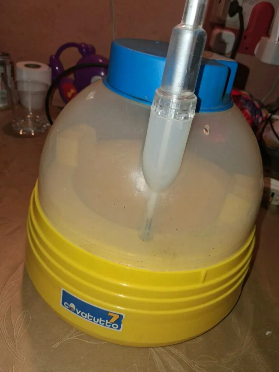 Incubators - Image 3