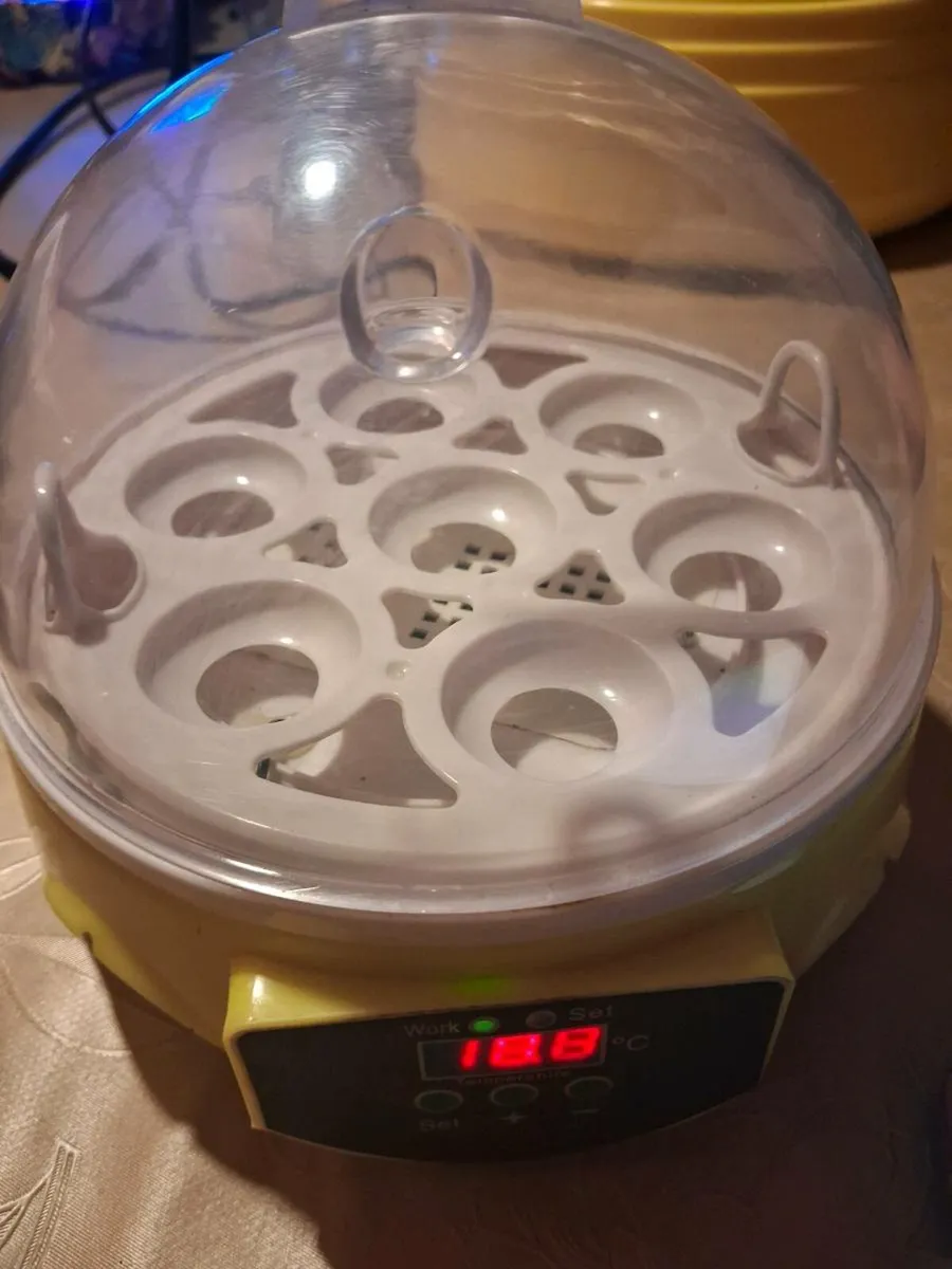 Incubators - Image 4