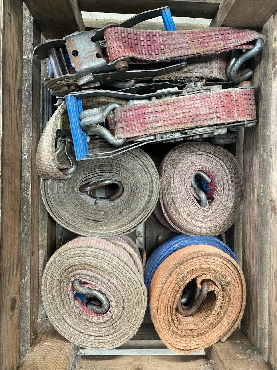 10 straps and ratchets - Image 3