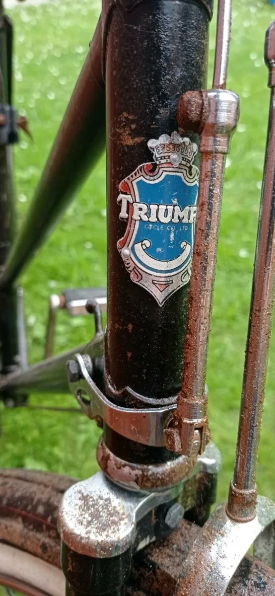 Vintage bicycle - Image 3