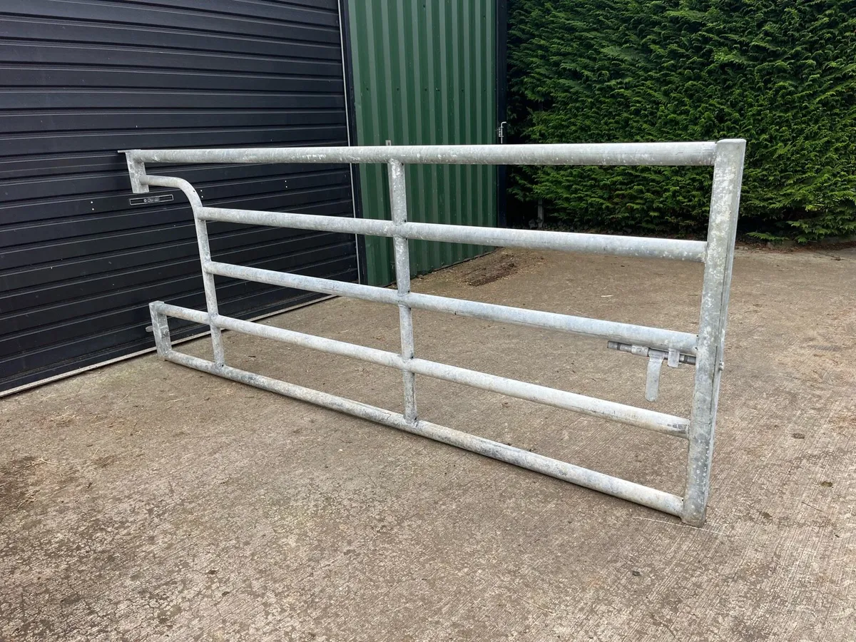 Cattle Housing 10ft Dividing Gate - Image 1