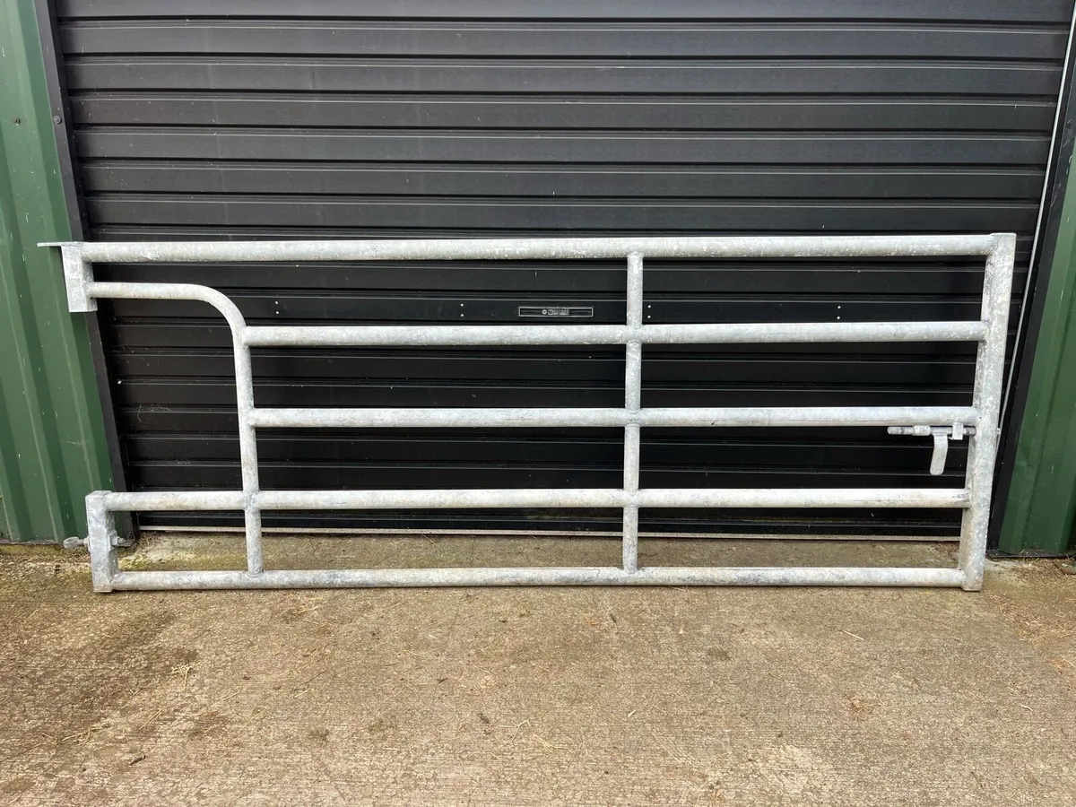 Cattle Housing 10ft Dividing Gate - Image 2