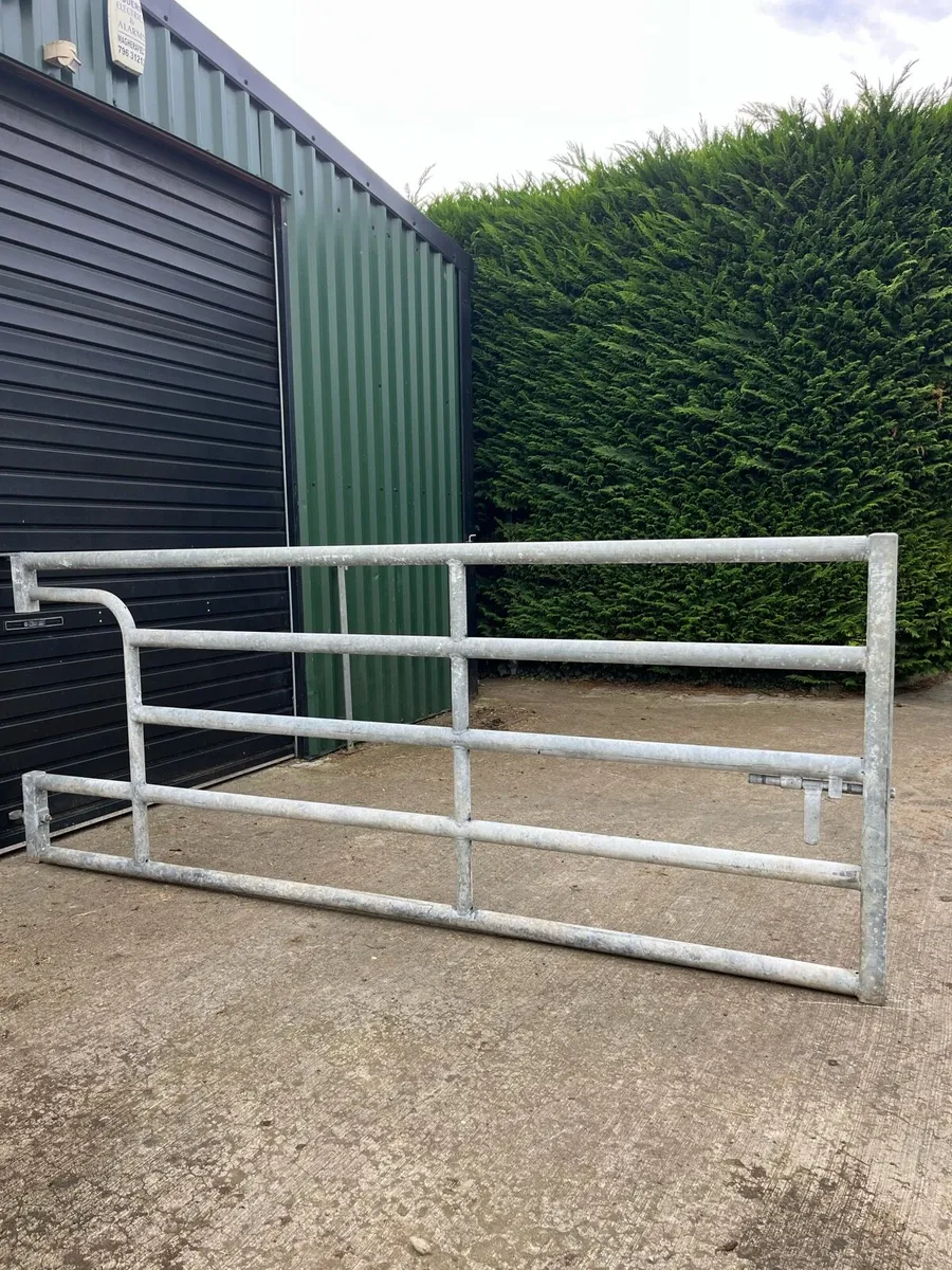 Cattle Housing 10ft Dividing Gate - Image 3