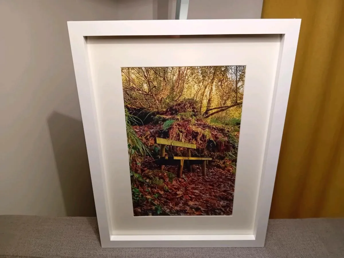 Glenbower Woods, Killeagh - Image 4