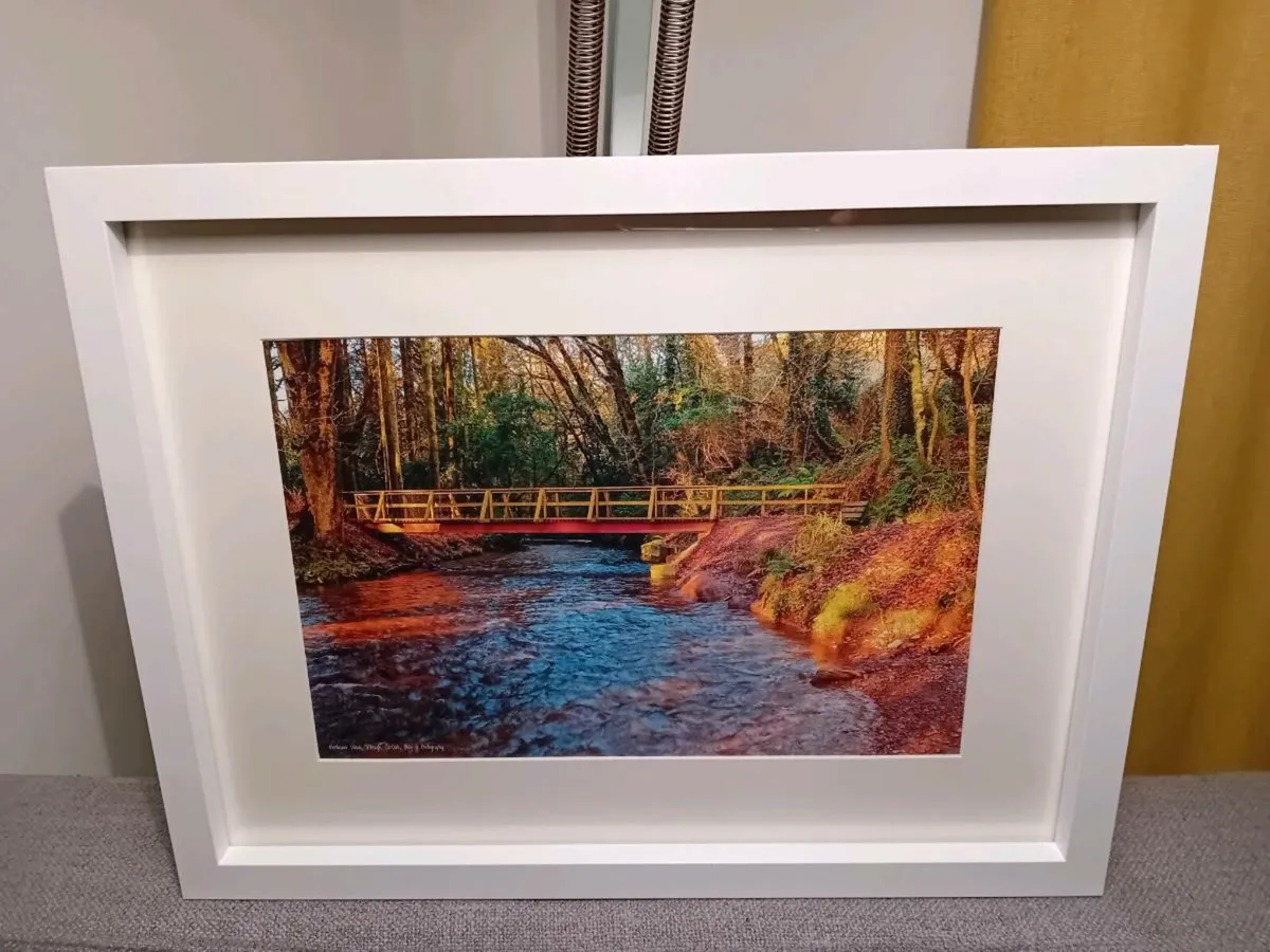 Glenbower Woods, Killeagh - Image 1