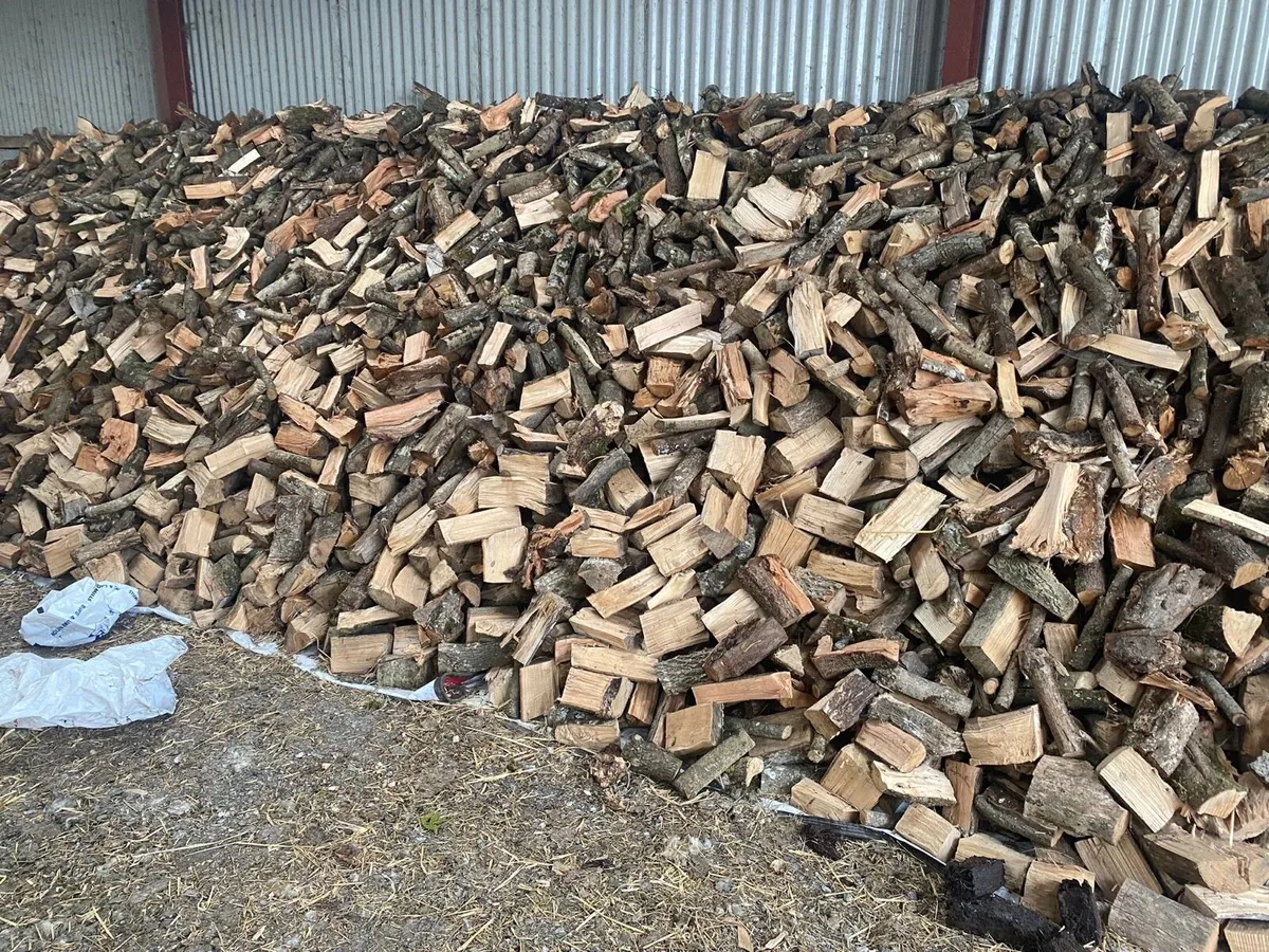 Firewood - Image 4