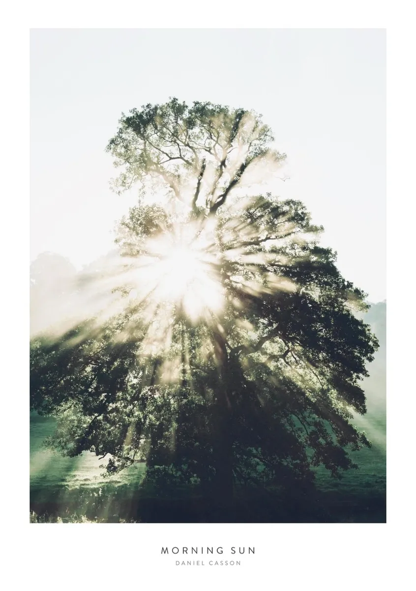 Morning sun poster with frame - Image 1