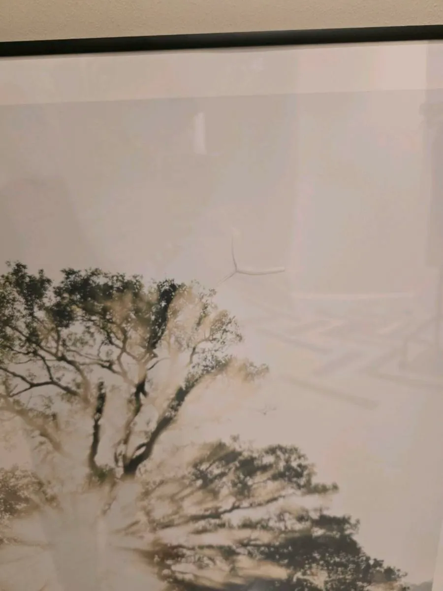 Morning sun poster with frame - Image 4