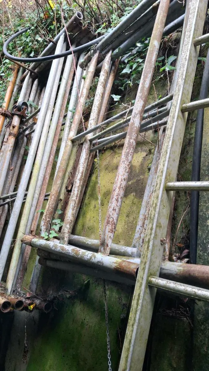 Scaffolding - Image 1