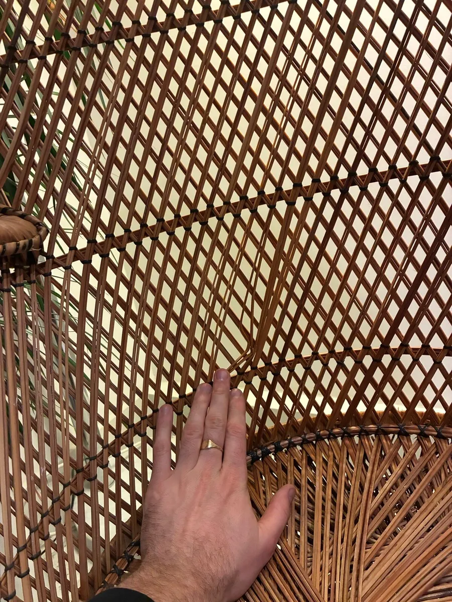 Retro wicker peacock chair - Image 3