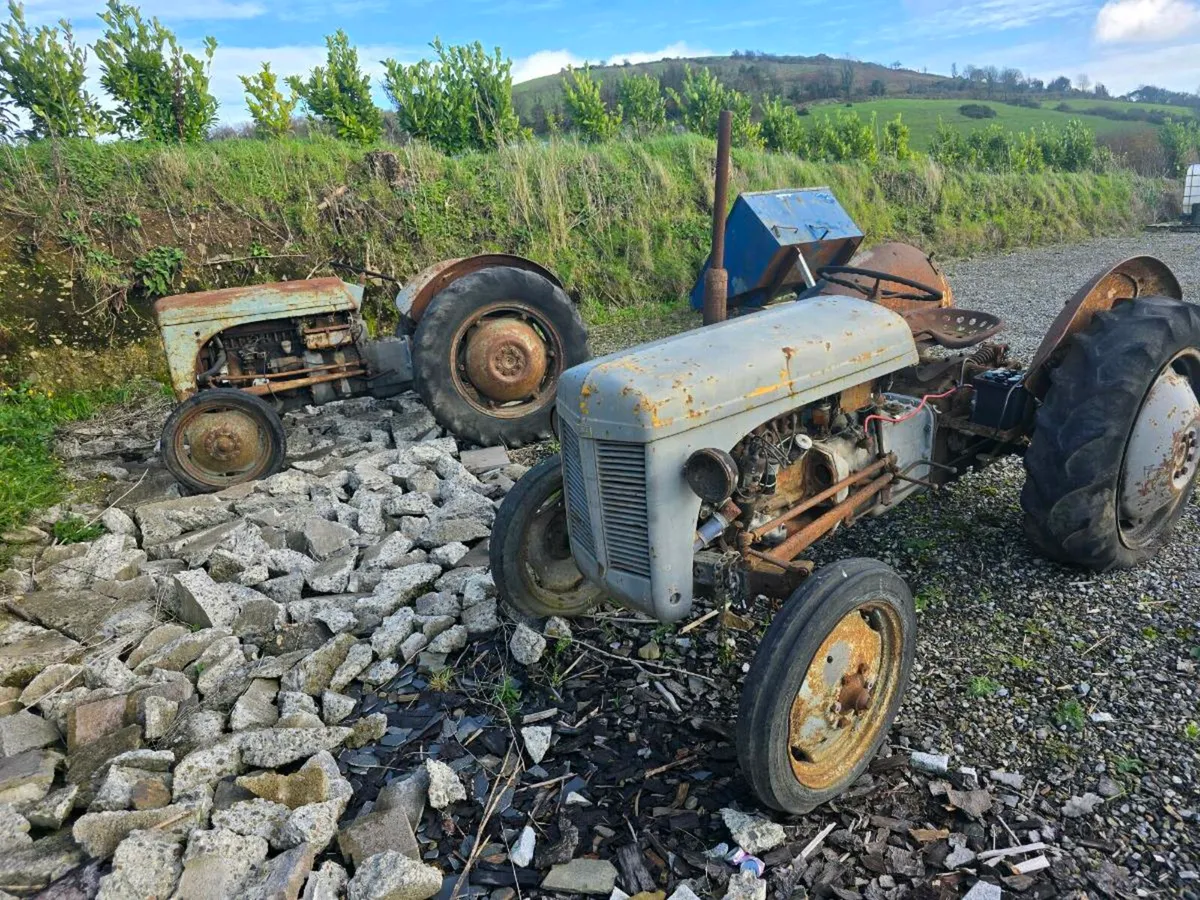 2 X MASSEY FERGUSON 20 TVO - Image 2