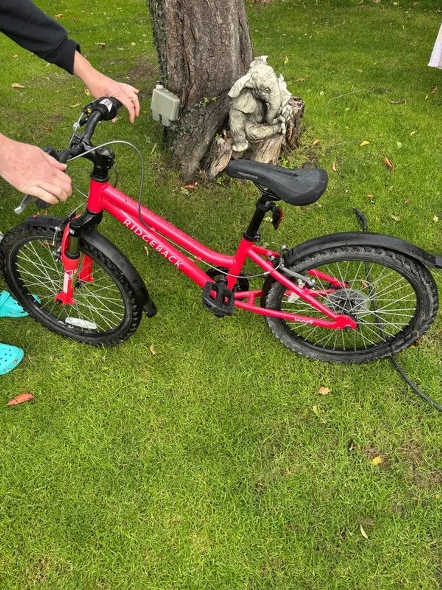 childrens Bicycle - Image 2