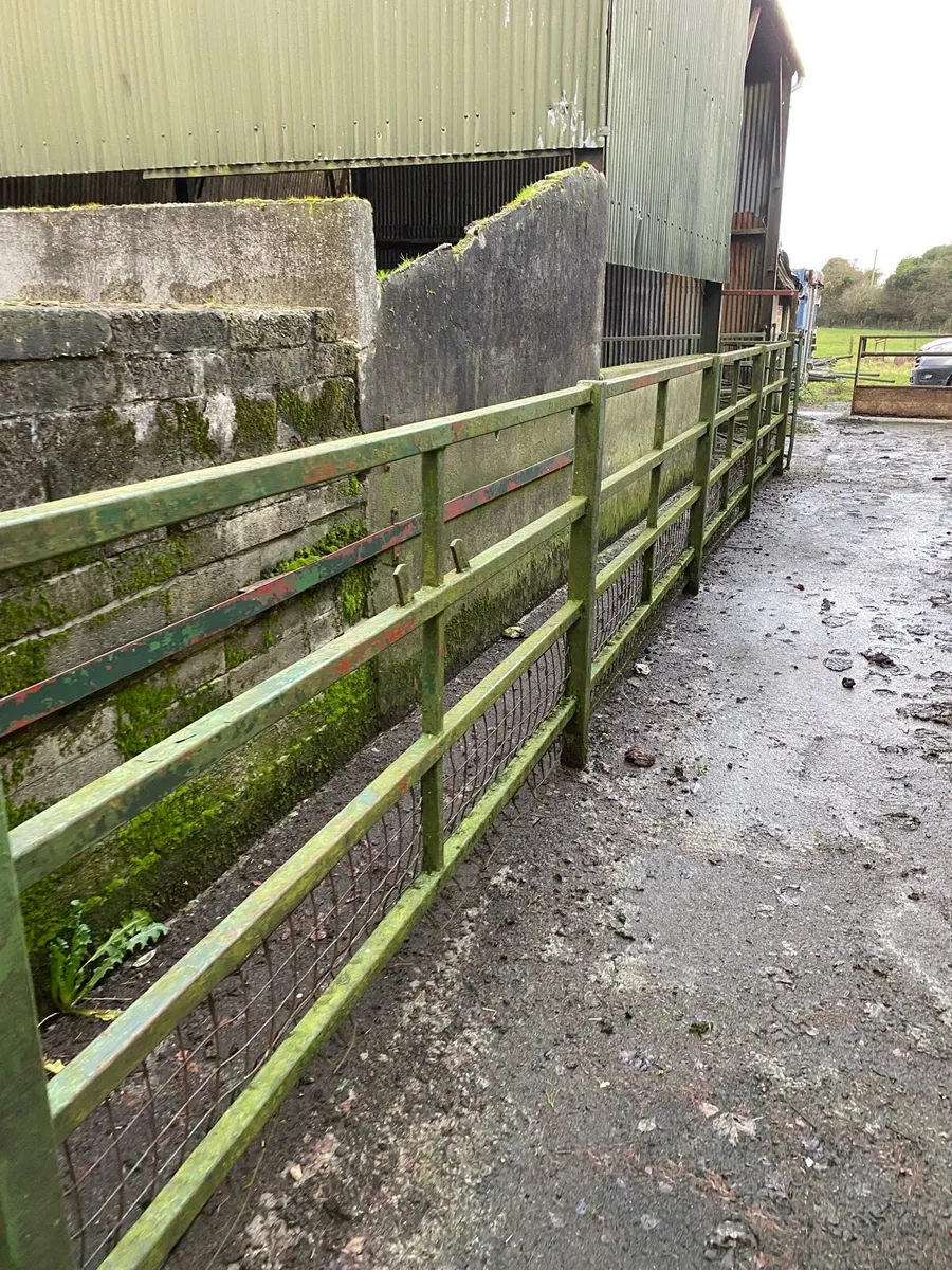 Cattle crush with head gate - Image 3