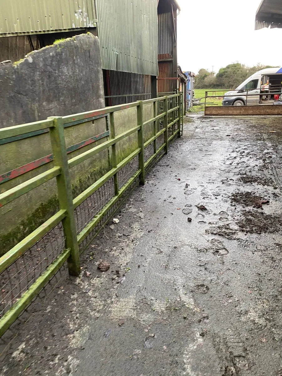Cattle crush with head gate - Image 4