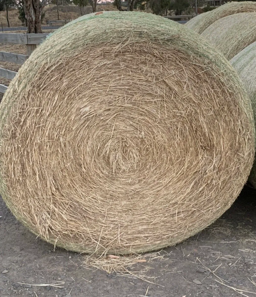 Hay