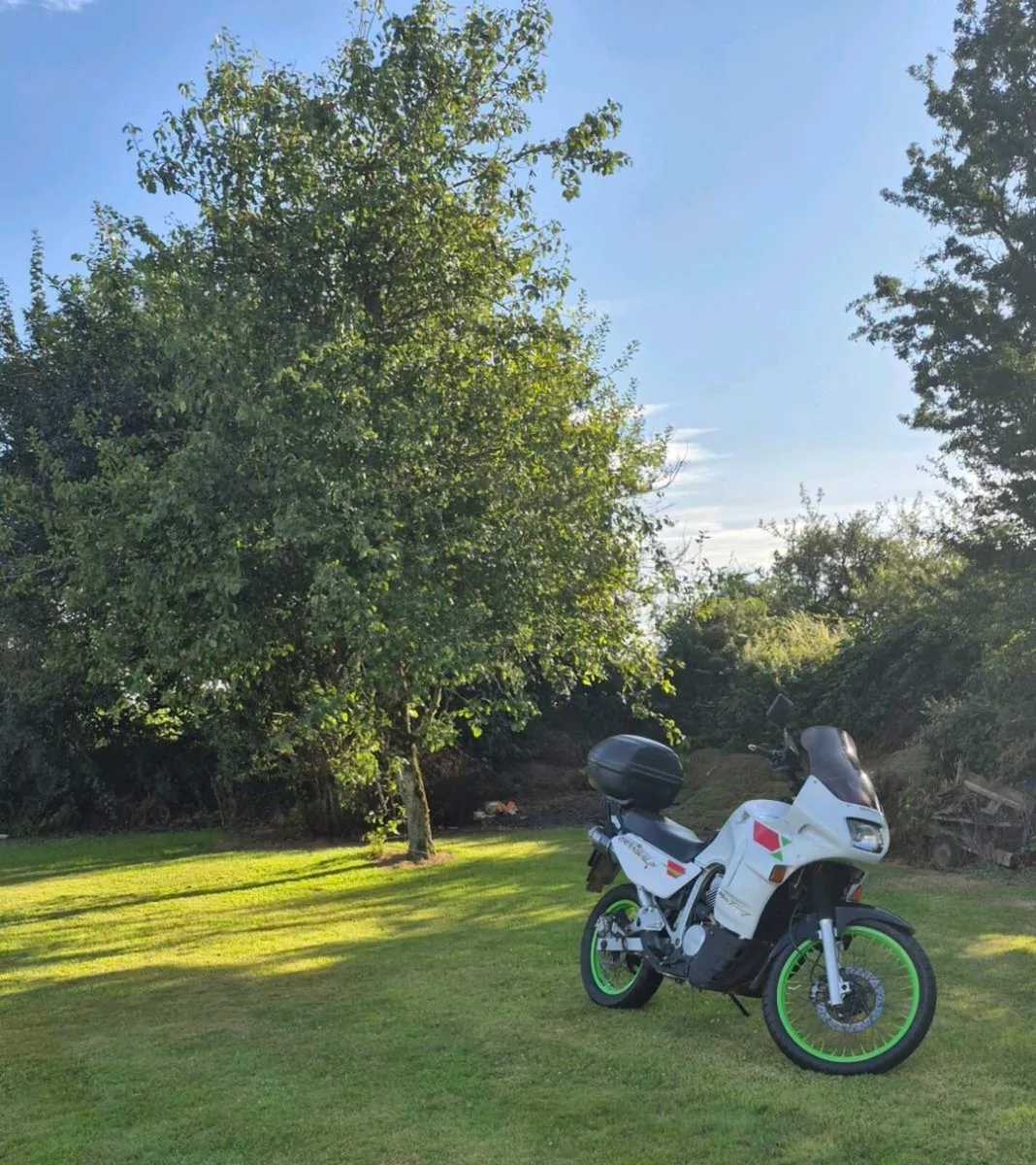 Honda transalp 600 - Image 1