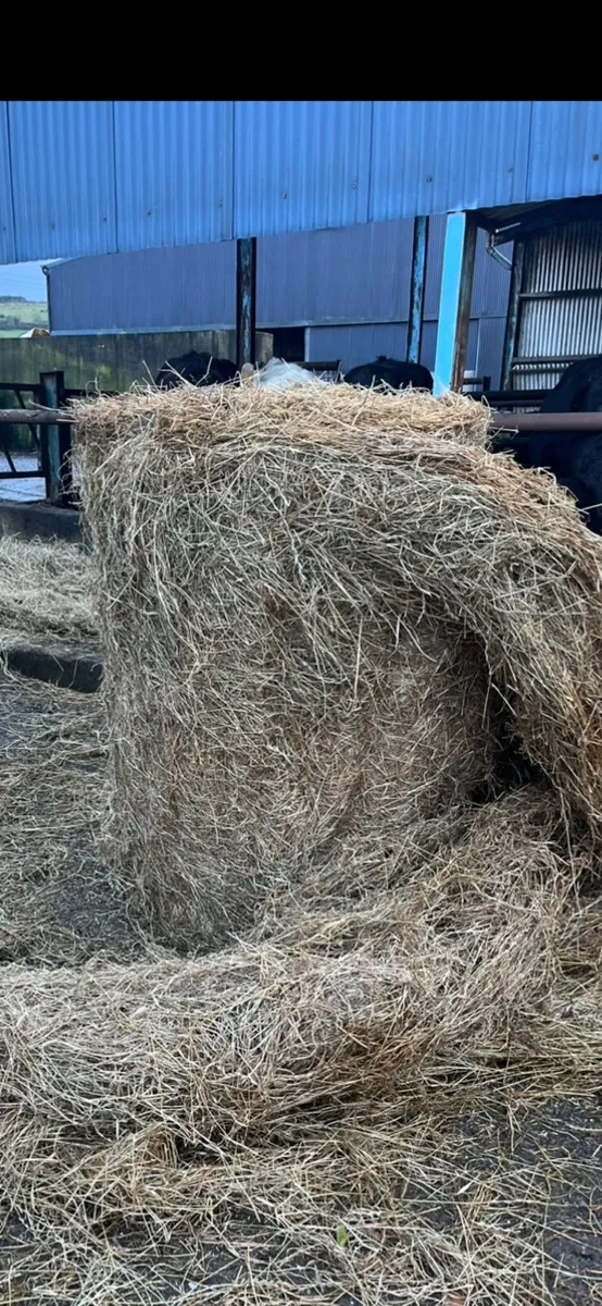 Hay - Image 1